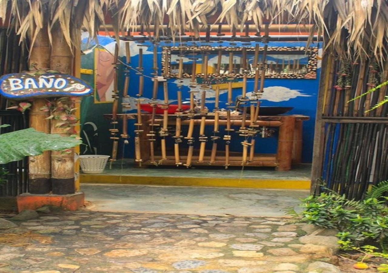 La Natura Hostel & Pool Palomino Kültér fotó