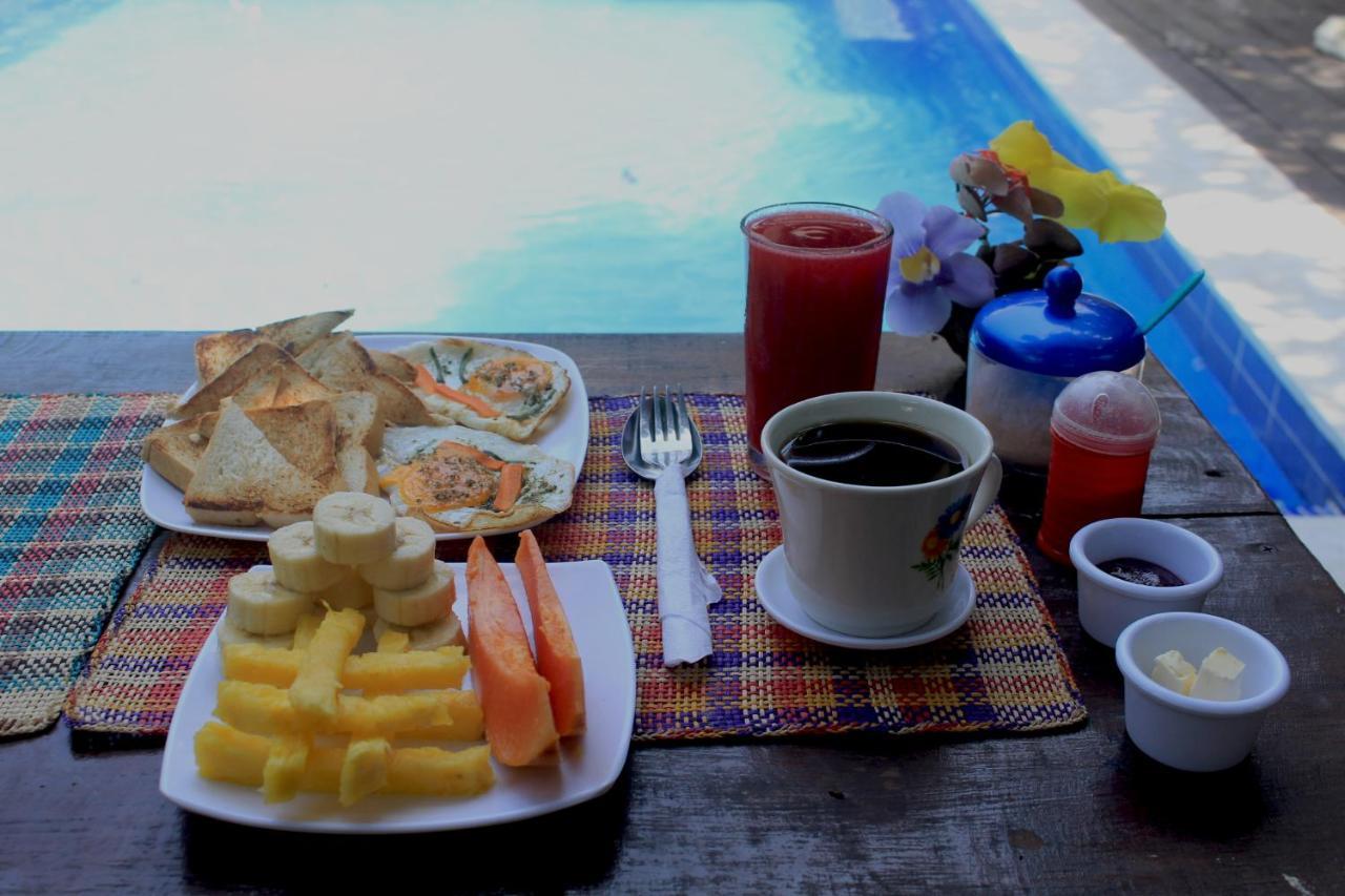 La Natura Hostel & Pool Palomino Kültér fotó