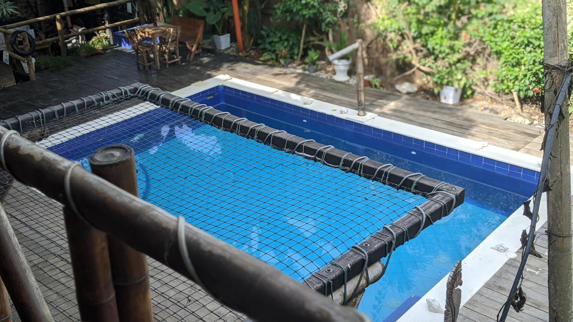 La Natura Hostel & Pool Palomino Kültér fotó
