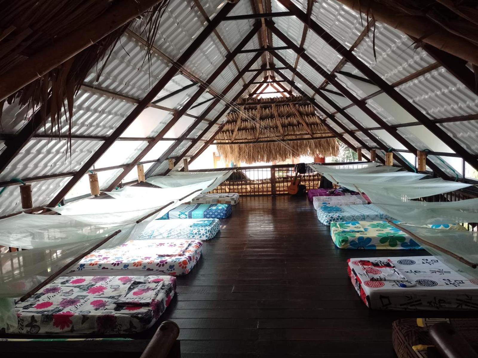 La Natura Hostel & Pool Palomino Kültér fotó
