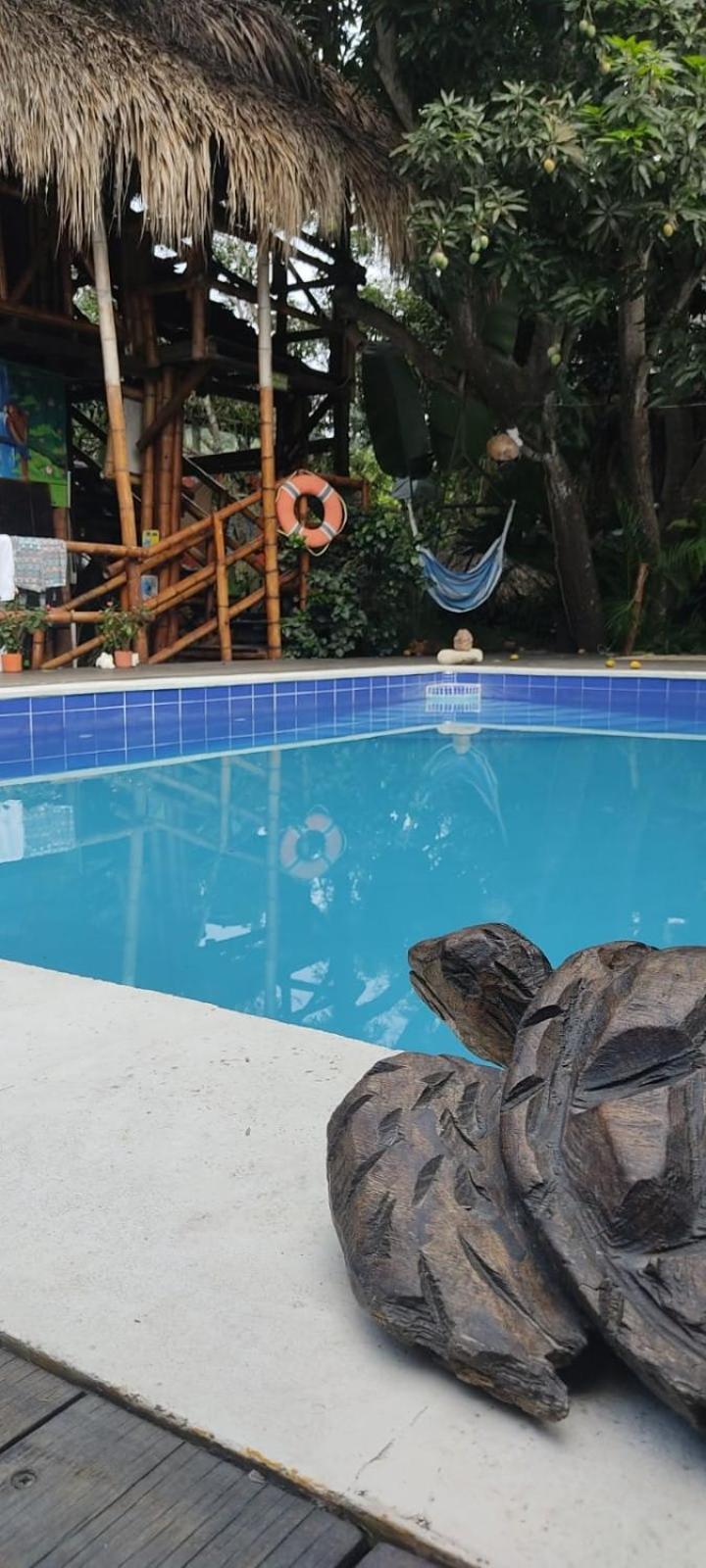La Natura Hostel & Pool Palomino Kültér fotó