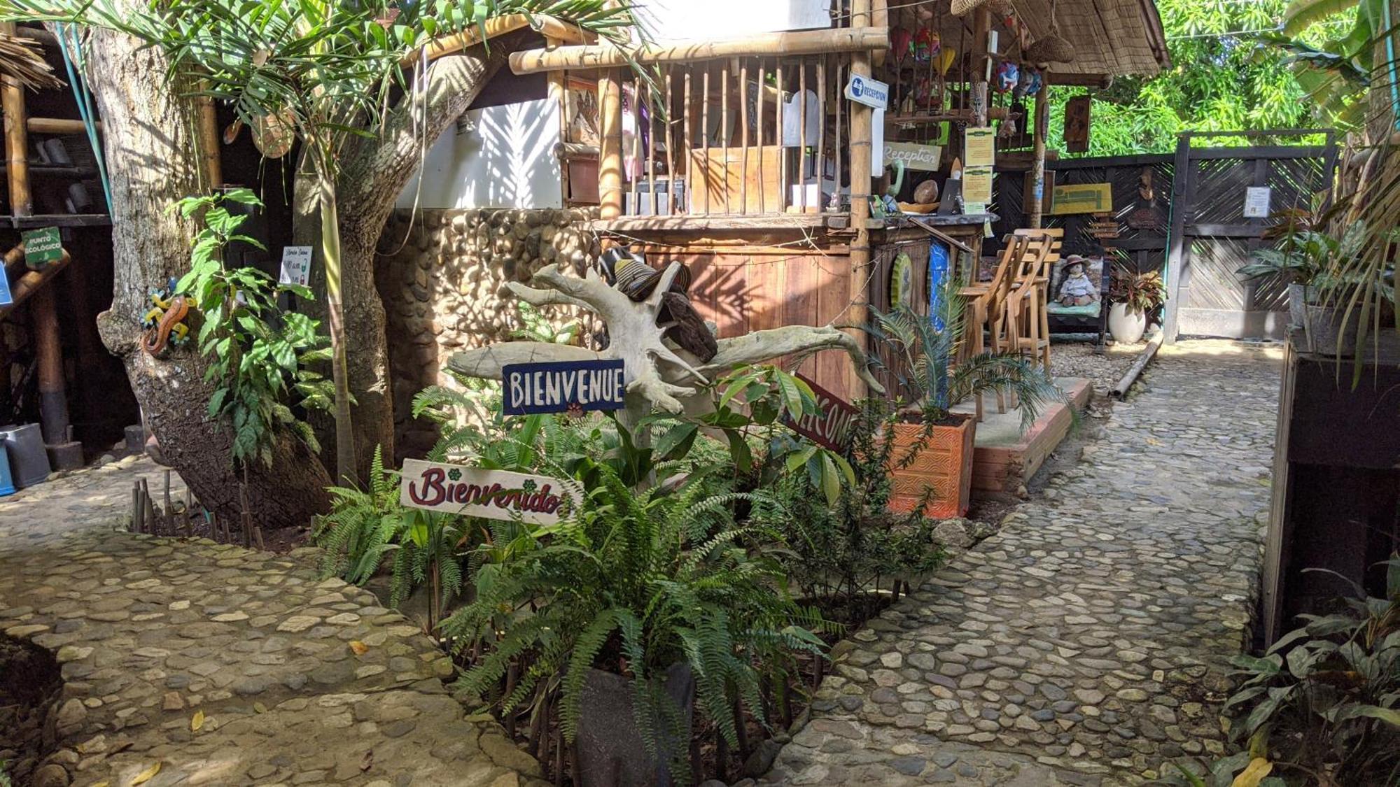 La Natura Hostel & Pool Palomino Kültér fotó