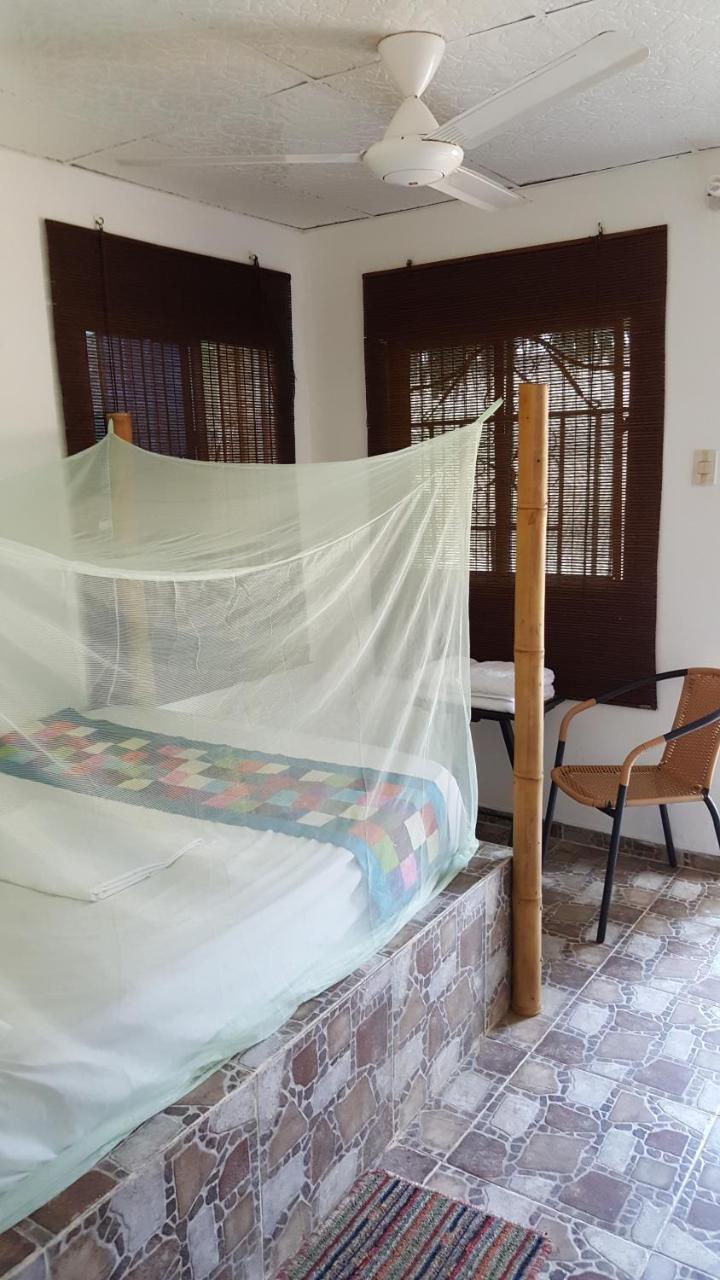 La Natura Hostel & Pool Palomino Kültér fotó